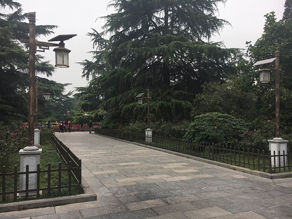 源碼太陽能路燈，太陽能路燈廠家，太陽能路燈價格