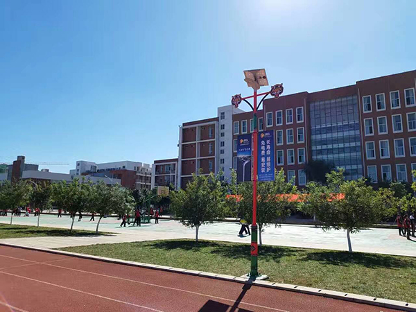 太陽能路燈，太陽能路燈廠家，太陽能路燈價(jià)格