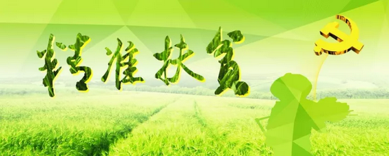 源碼助力來賓精準扶貧，點亮新寨村幸福之路