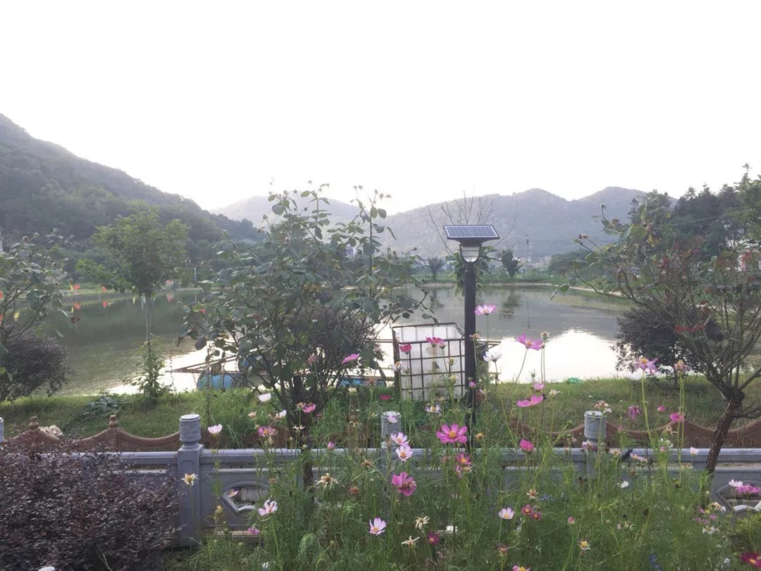 源碼，你所不知道的另一面