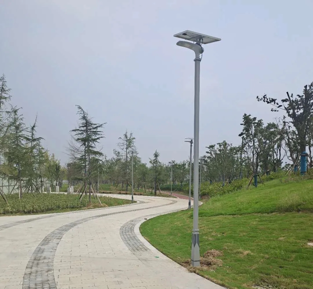 晴空排云雁高飛，源碼項(xiàng)目掀熱潮