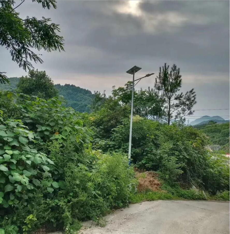 晴空排云雁高飛，源碼項(xiàng)目掀熱潮