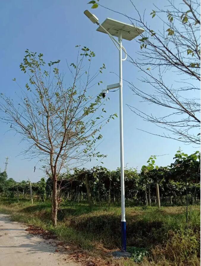 晴空排云雁高飛，源碼項(xiàng)目掀熱潮