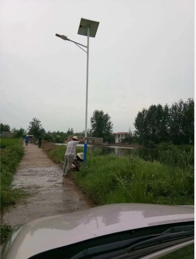 晴空排云雁高飛，源碼項(xiàng)目掀熱潮