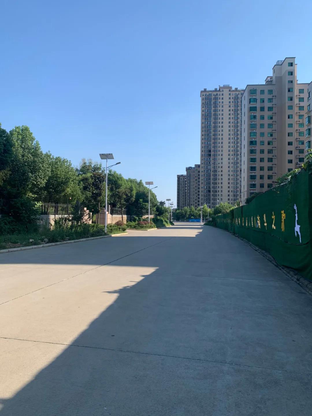 云鵬燈〡九萬里風(fēng)安稅駕，云鵬今悔不卑飛