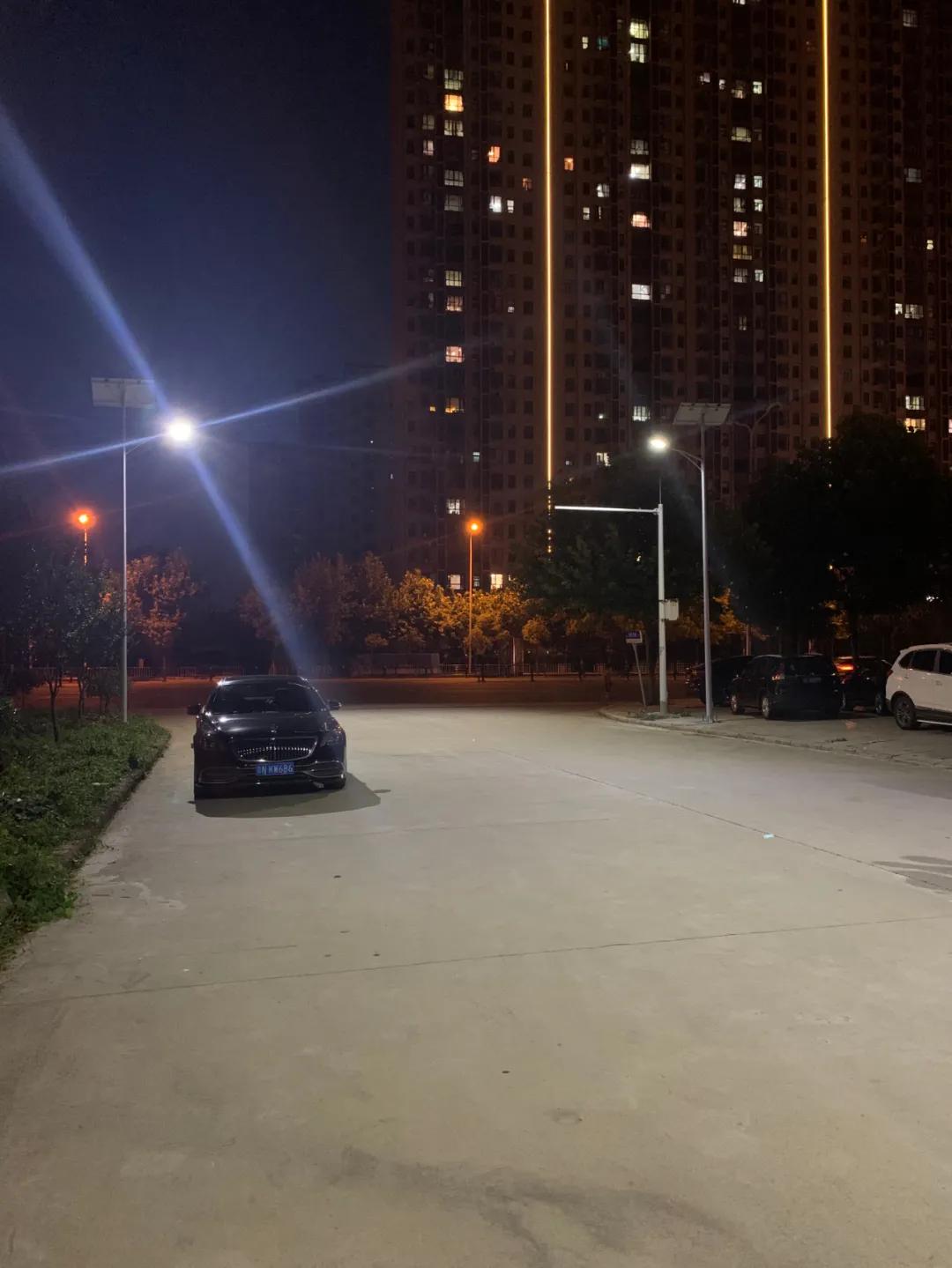 云鵬燈〡九萬里風(fēng)安稅駕，云鵬今悔不卑飛