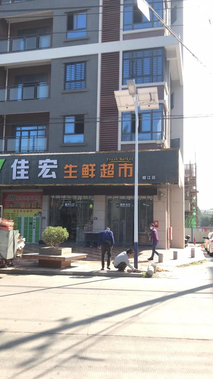 云鵬燈〡九萬里風(fēng)安稅駕，云鵬今悔不卑飛