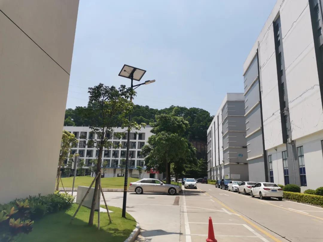案例賞析〡云雁高飛，助力鄉(xiāng)村振興
