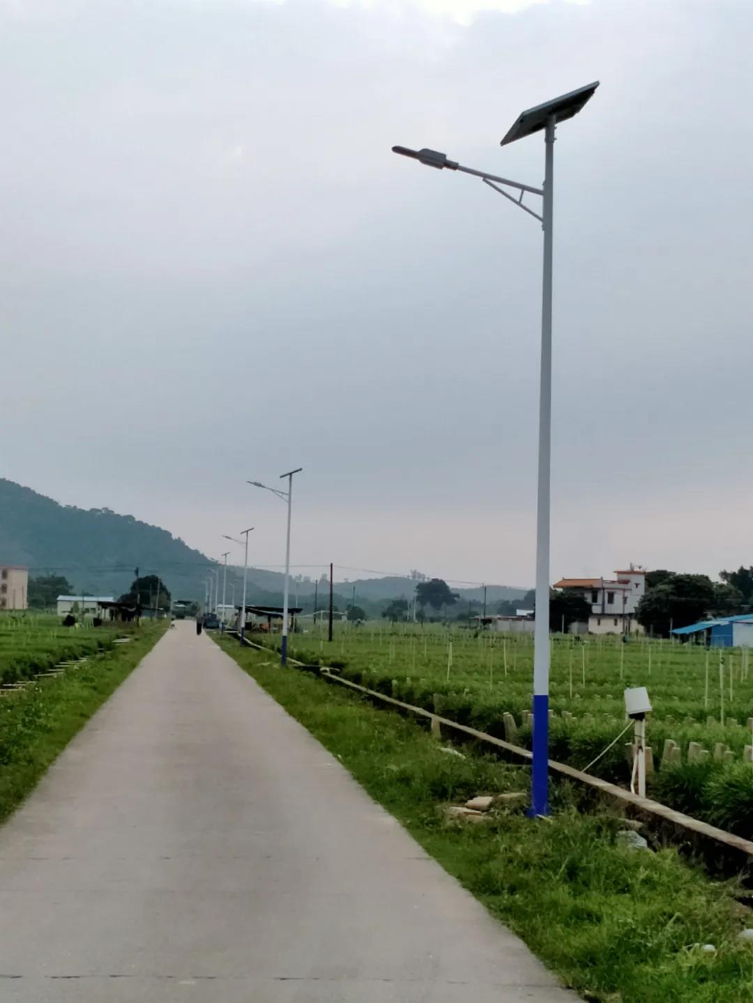 案例賞析〡云雁高飛，助力鄉(xiāng)村振興
